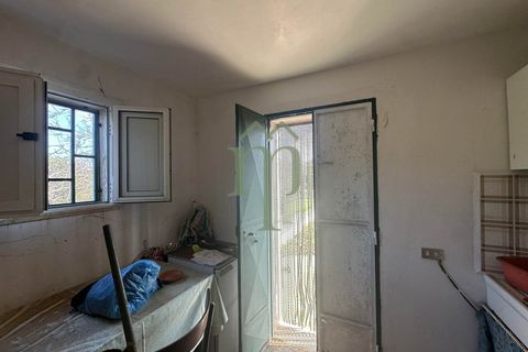 Masia a Ostuni, Brindisi, Ostuni - € 75.000 | Ref: Casolare Vert - foto 24